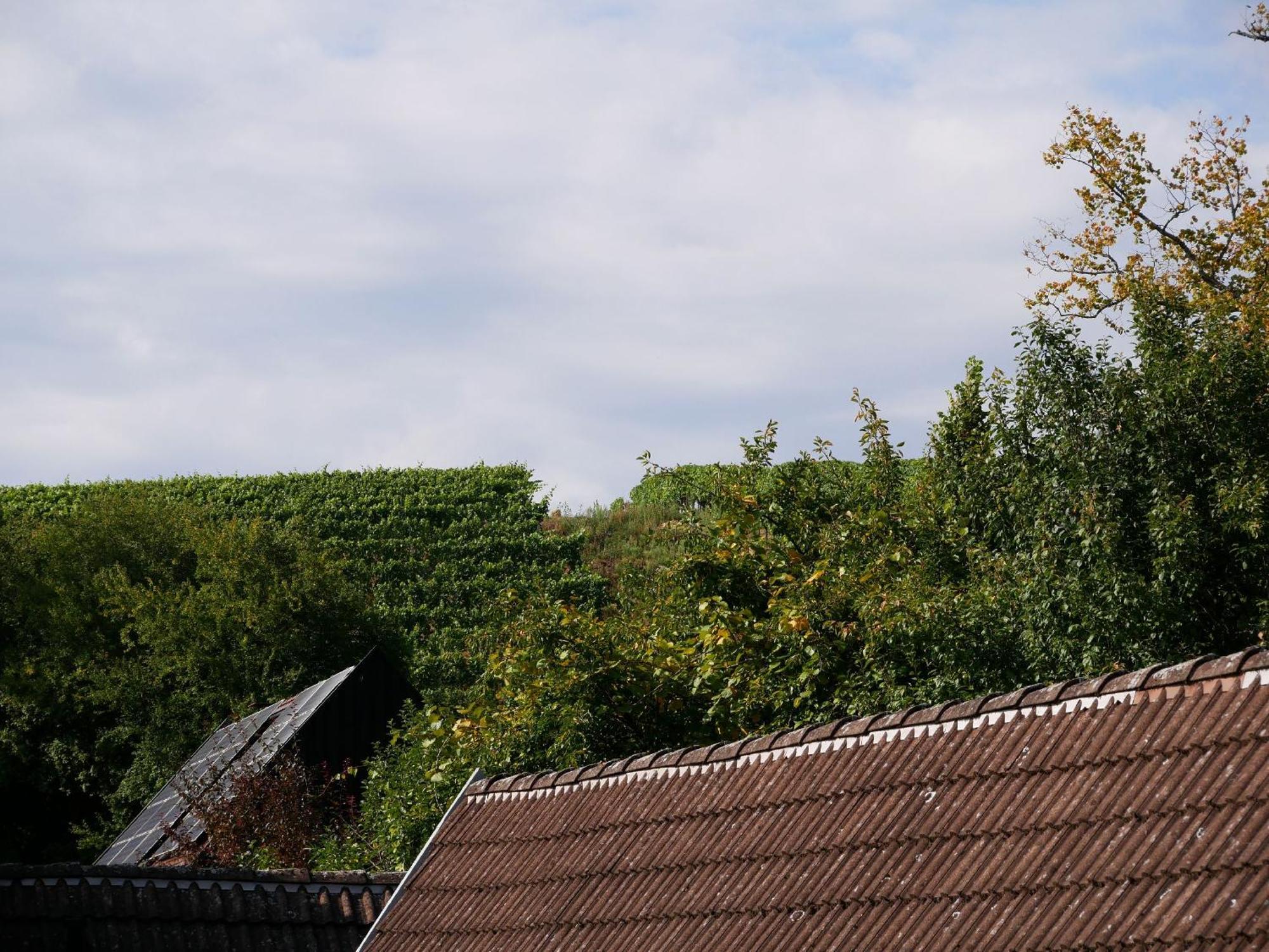 Haus Der Malerin Andrea Gawaz Lägenhet Mullheim  Exteriör bild